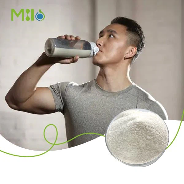 مسحوق BCAA الفوري
