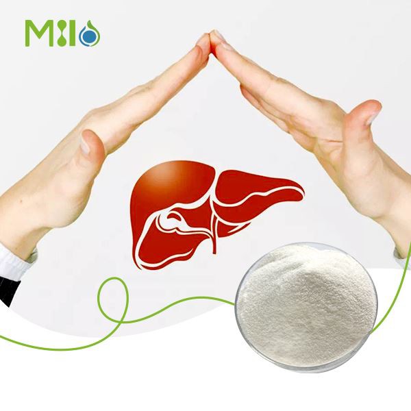 L- سيستين HCL مسحوق لا مائي