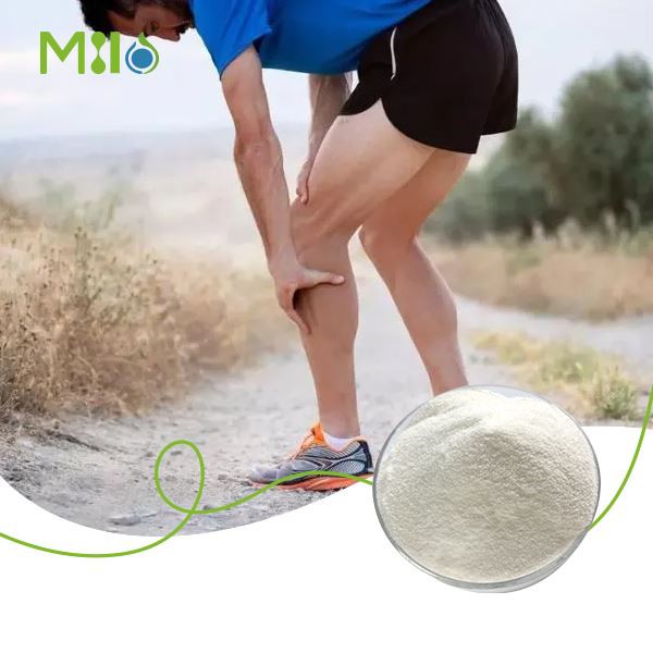 ن-أسيتيل-د-جلوكوزامين