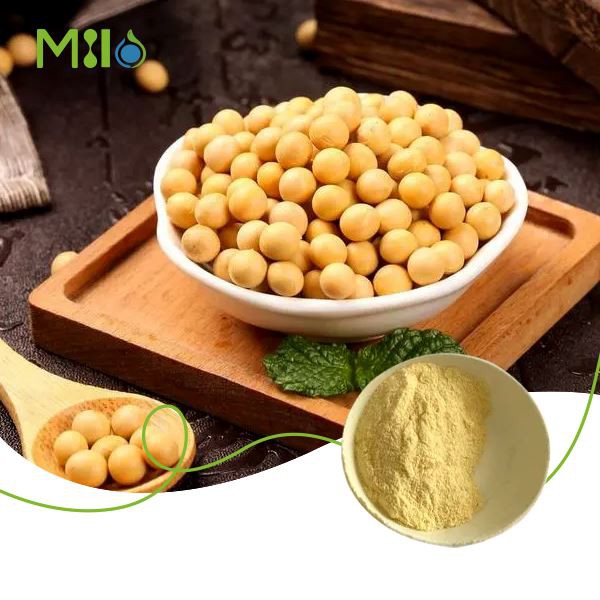 Pure Soybean Lecithin Powder