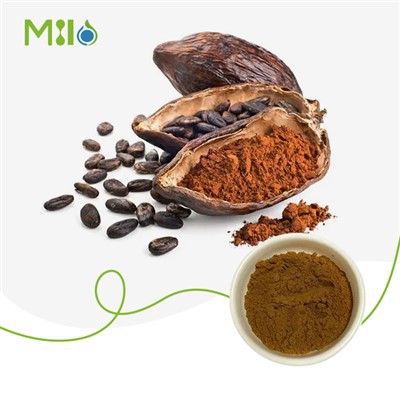 مسحوق خلاصة الكاكاو
