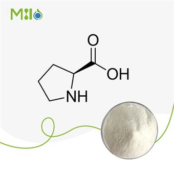 L-مسحوق البرولين